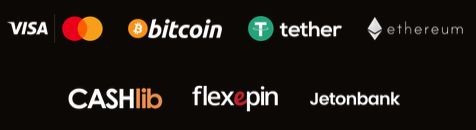 Payment methods offered by Maxibet